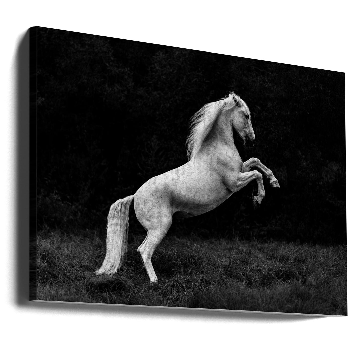 a short story of a blade of grass in a hoof | Canvas
