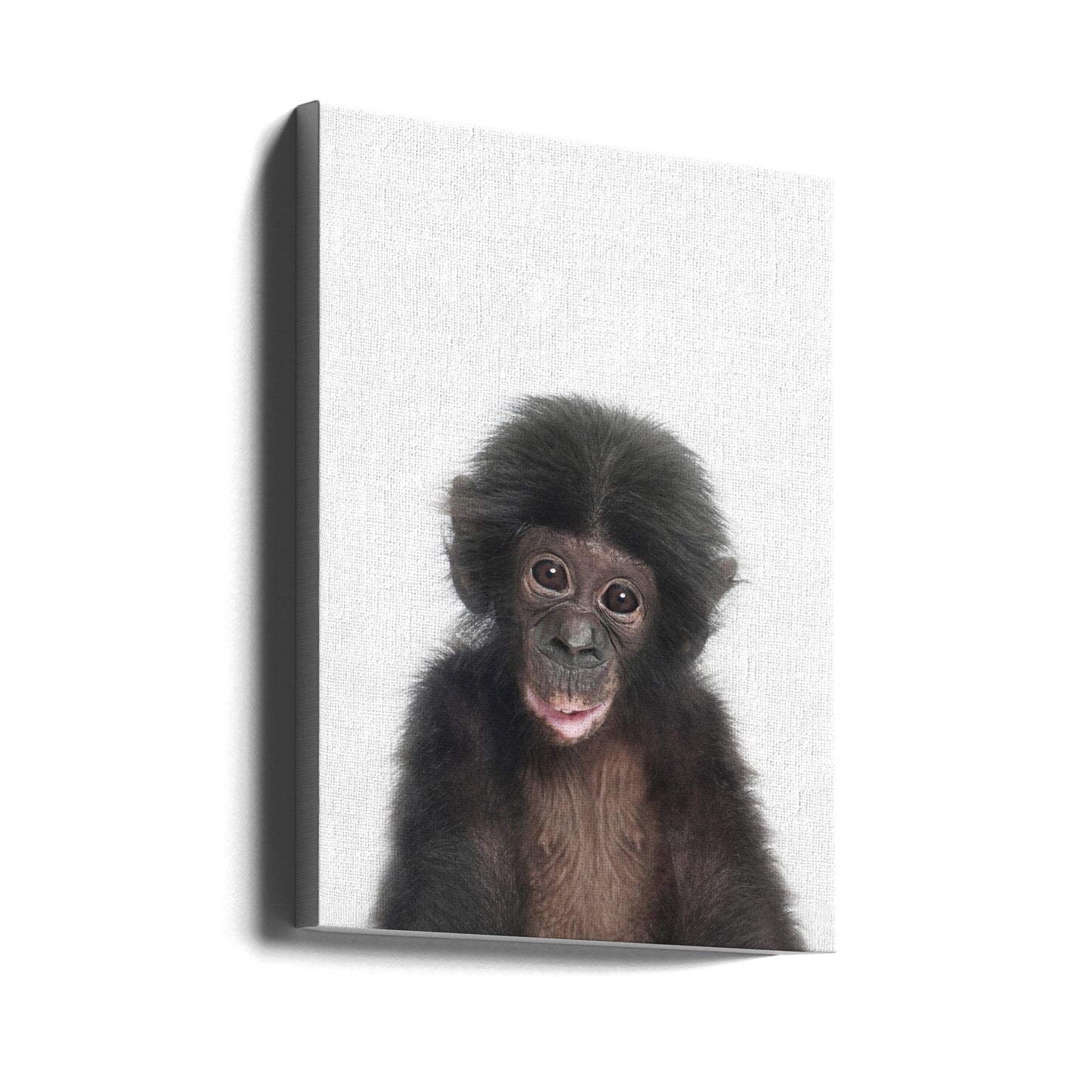 Apunge | Canvas