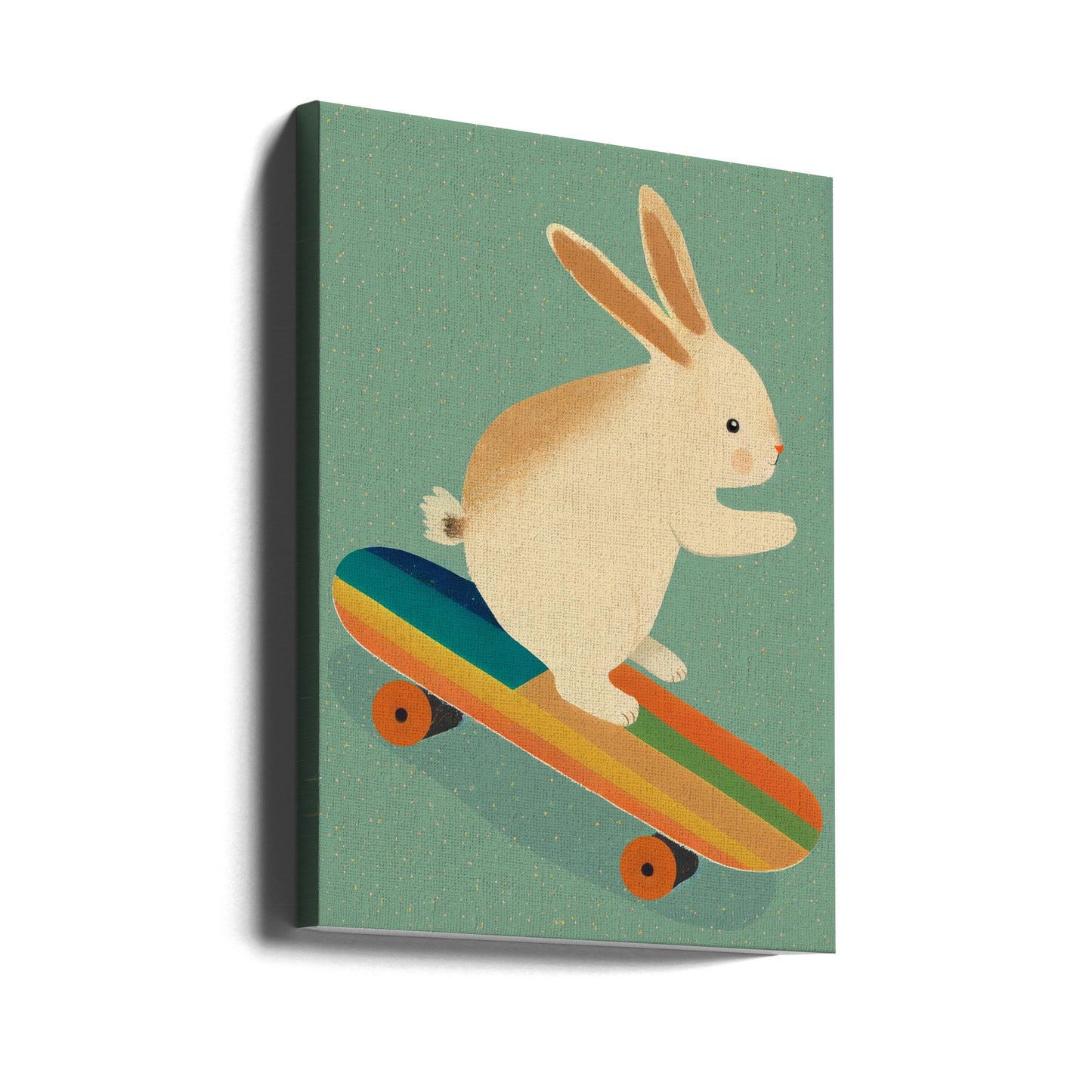 Hase auf Skateboard | Leinwand-Bilder