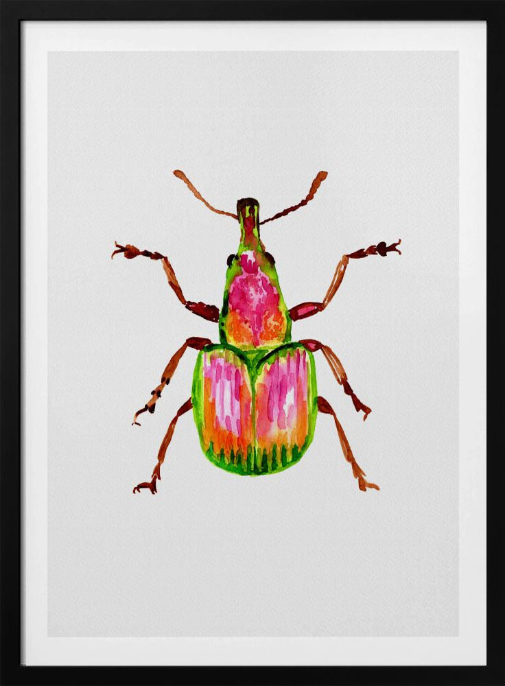 Apricot weevil or Epirhynchites auratus | Poster