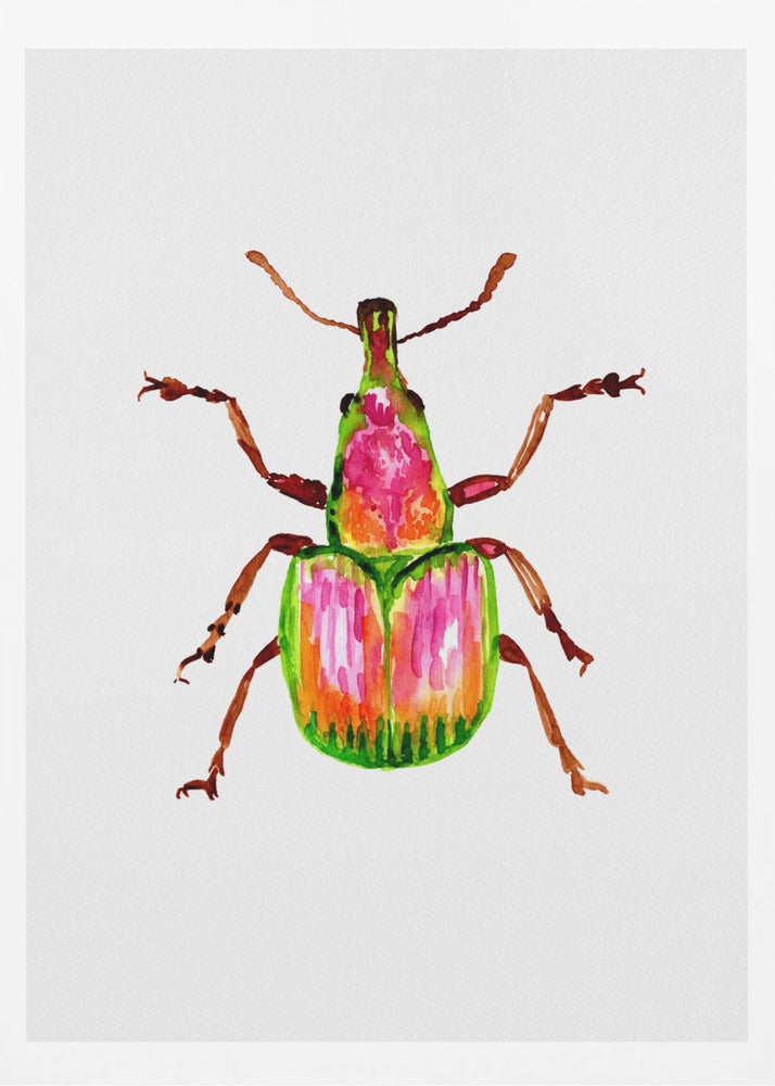 Apricot weevil or Epirhynchites auratus | Poster
