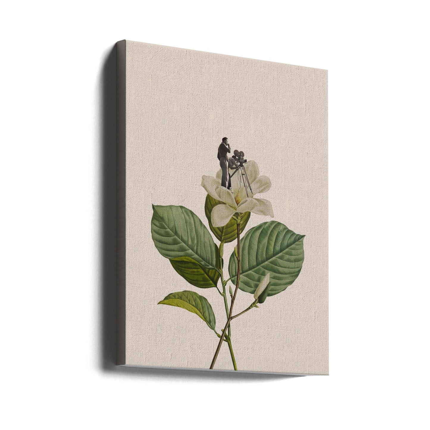 Botanisk vintagekameraman | Canvas