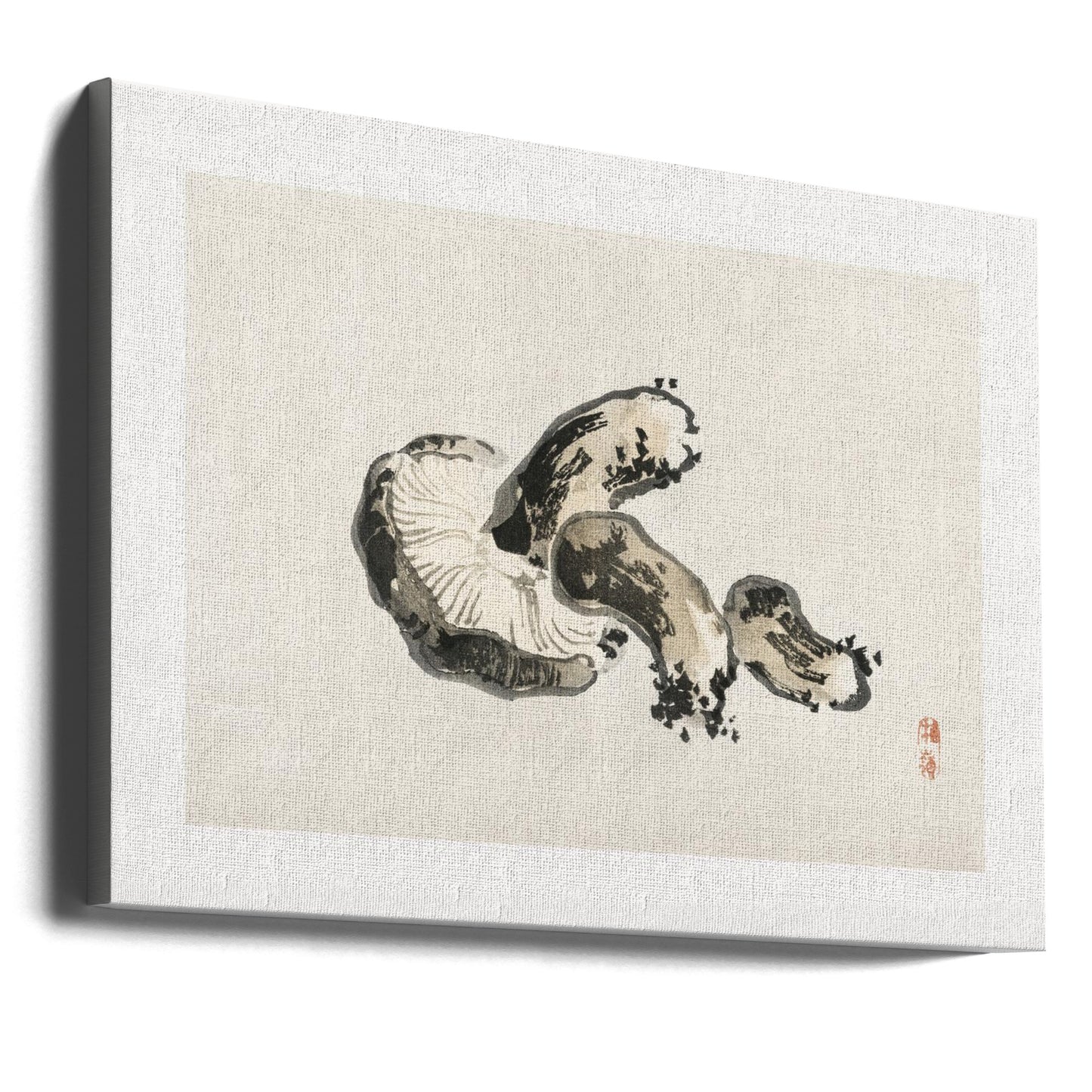 Funghi Shiitake | Stampe su Tela
