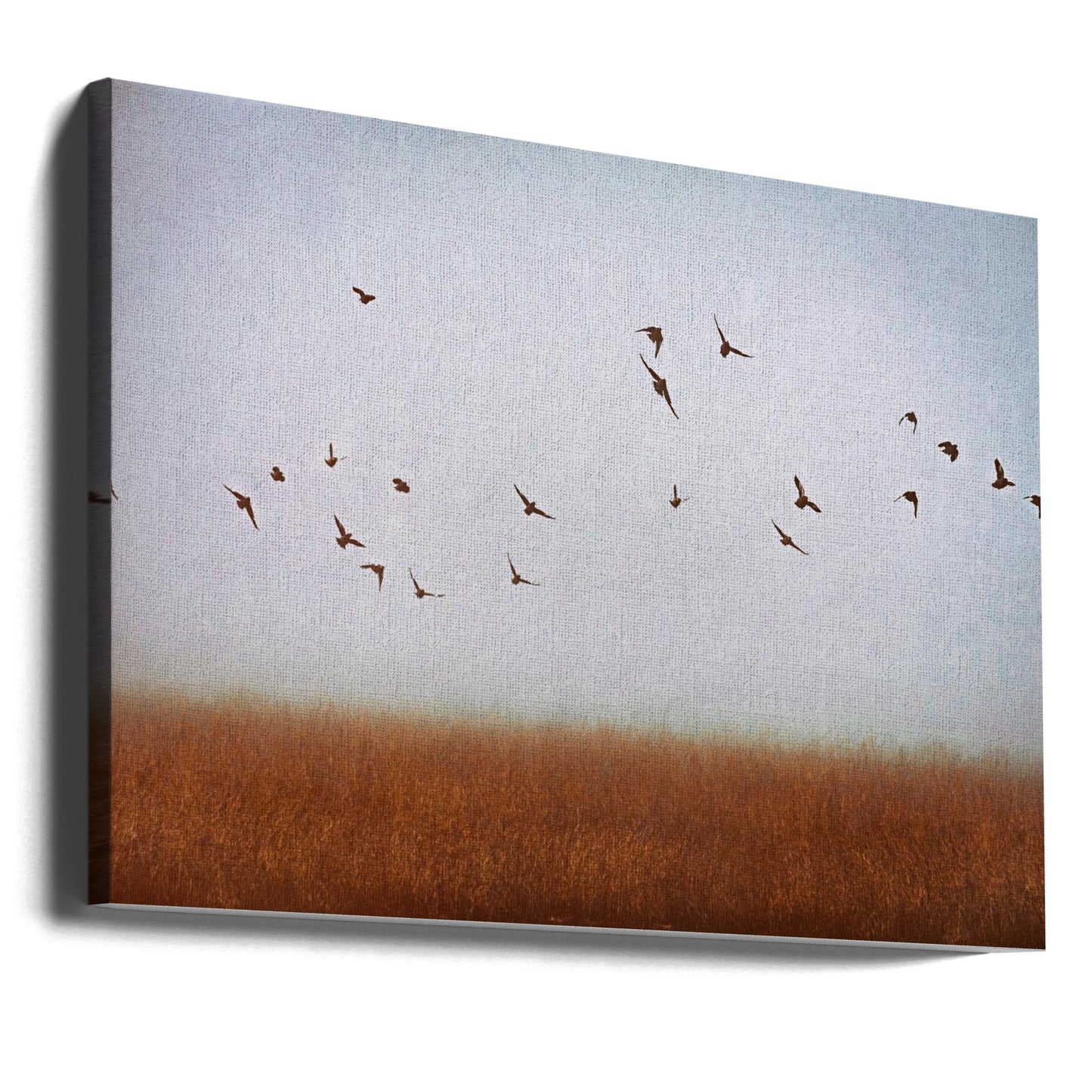 vrijheid | Canvasprints