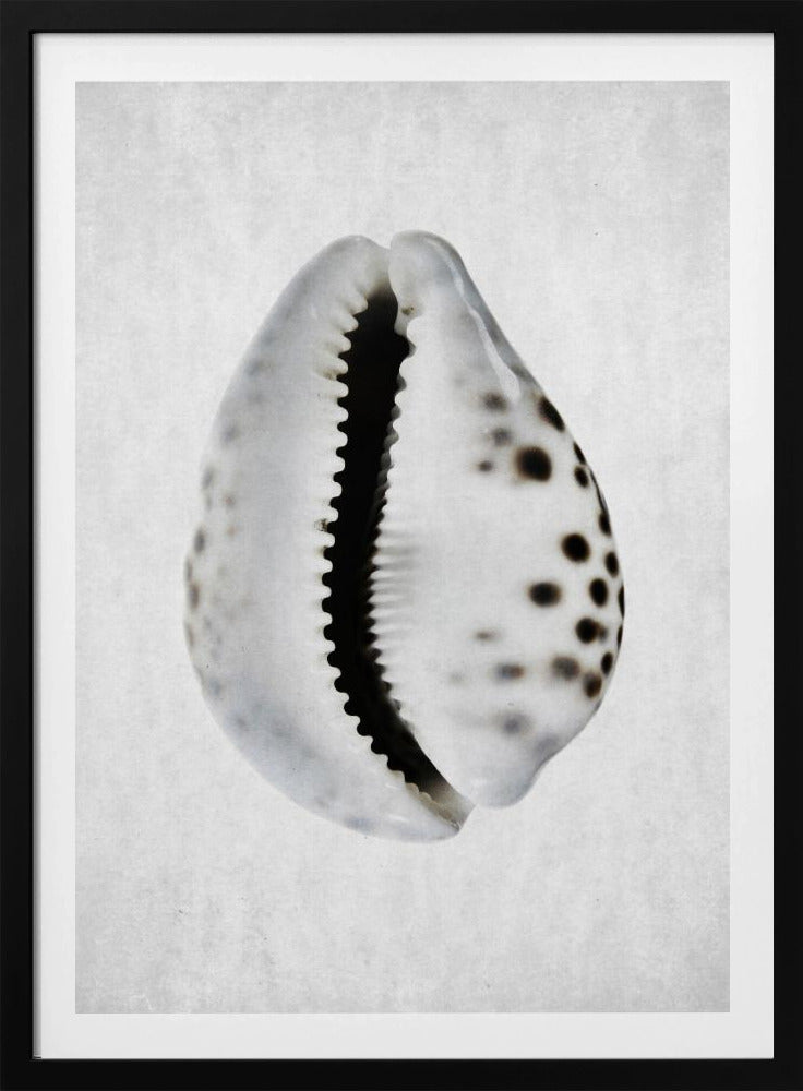 Spring Tide | Poster