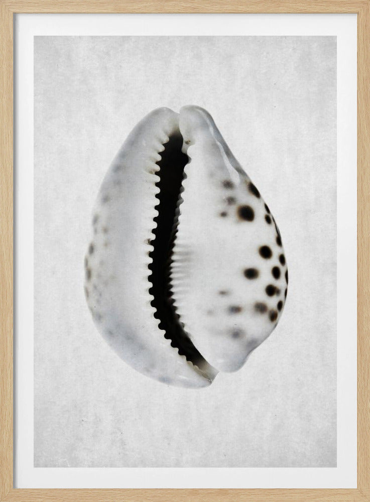 Spring Tide | Poster