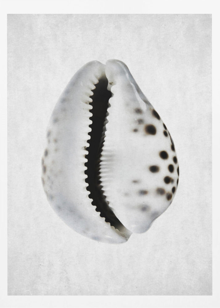 Spring Tide | Poster