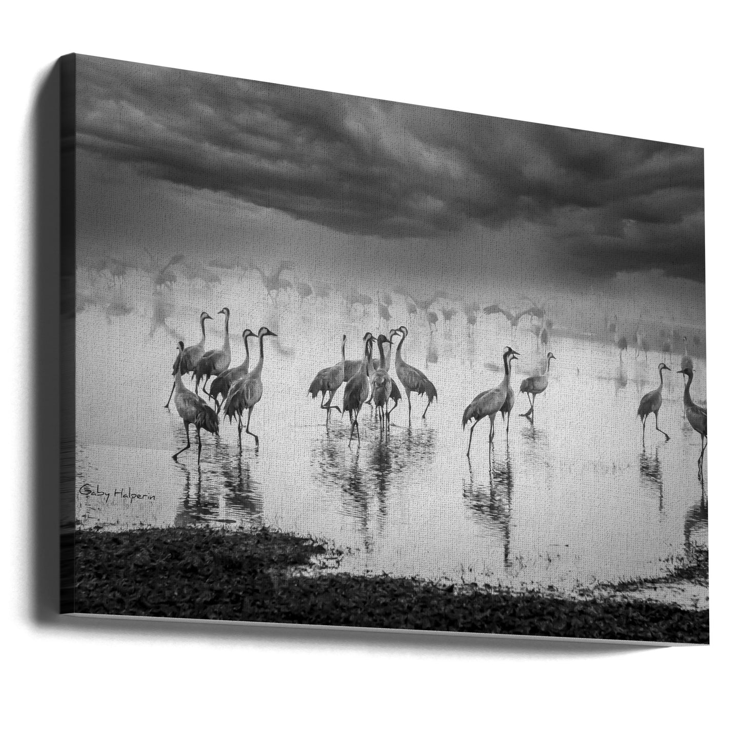 Soluppgång på sjön | Canvas