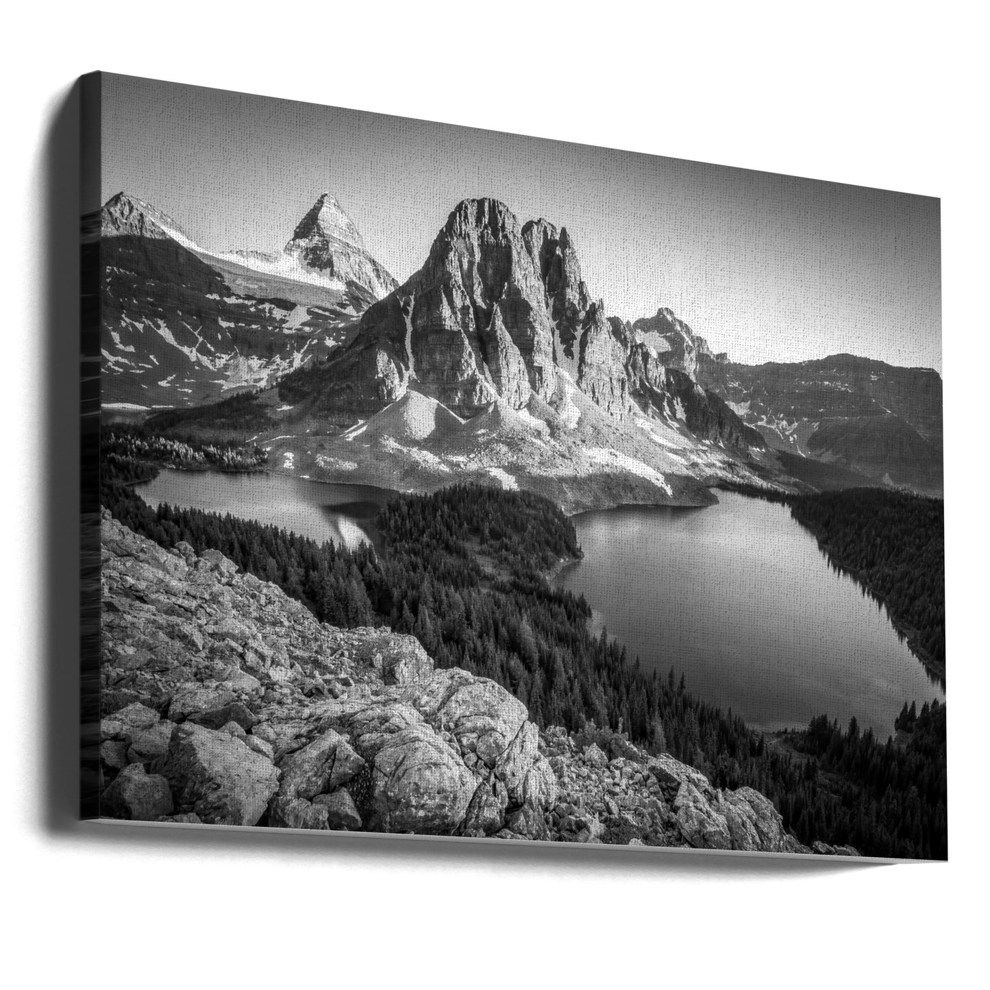 assiniboine | Canvas