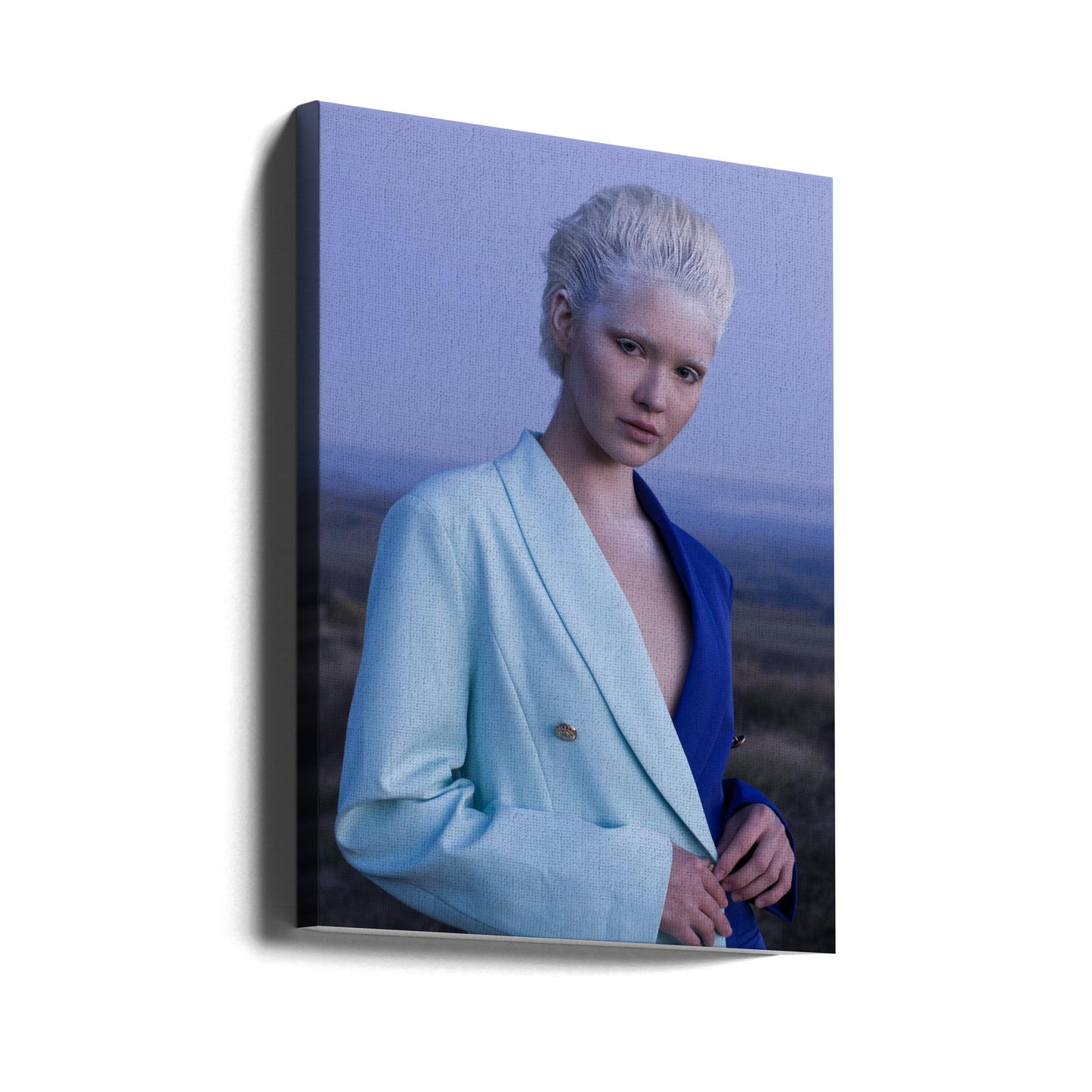SNÖDROTTNINGEN | Canvas