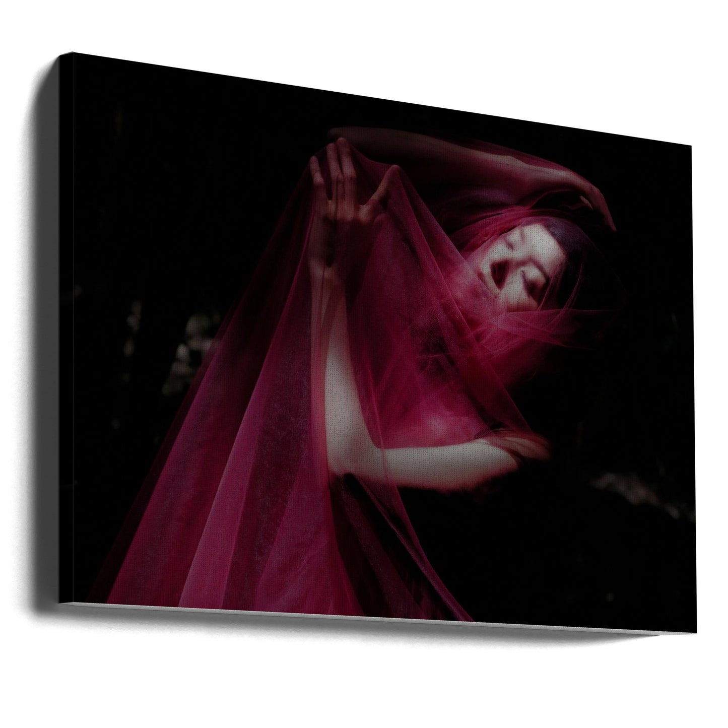 Dans les bois | Tableaux sur Toile