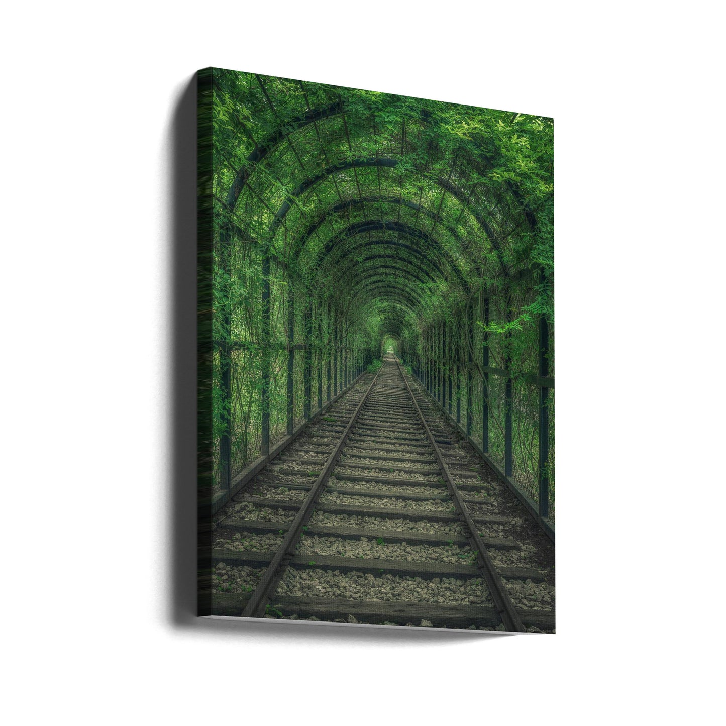 Zielony Tunel | Wydruki na łótnie