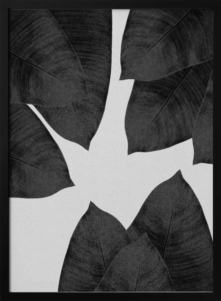 Banana Leaf Black & White I | Poster