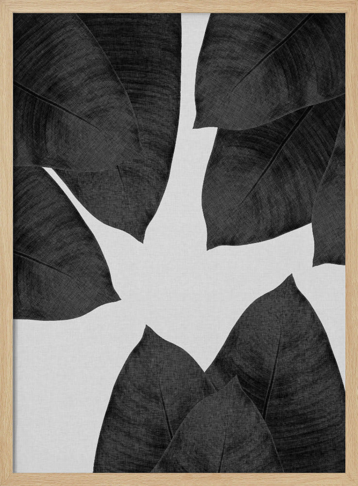 Banana Leaf Black & White I | Poster