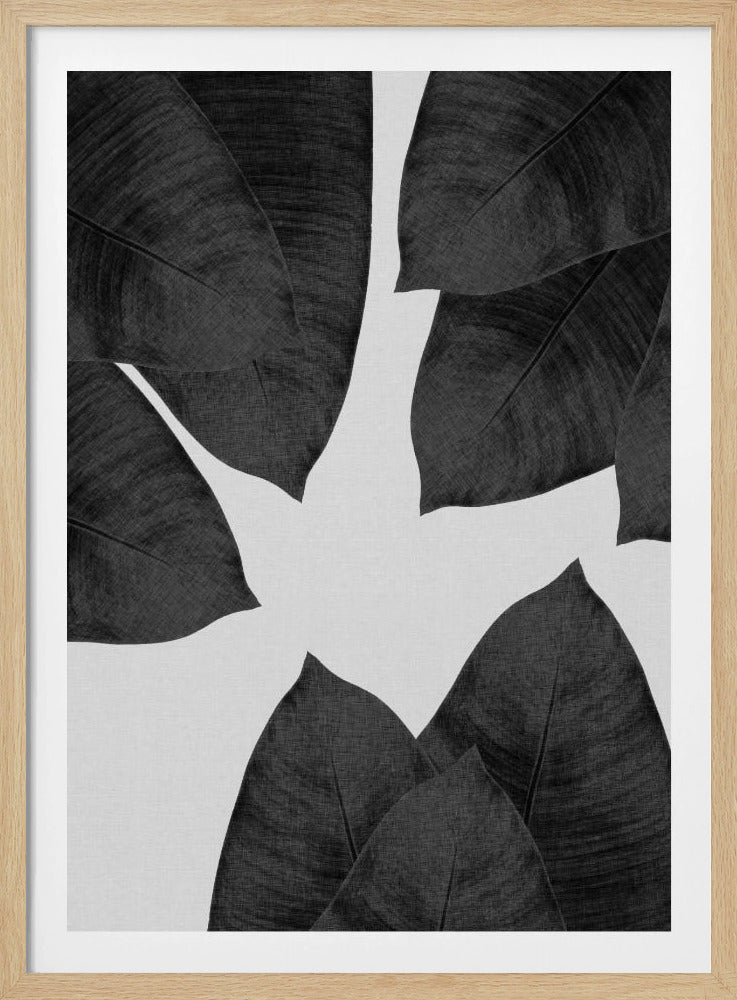 Banana Leaf Black & White I | Poster