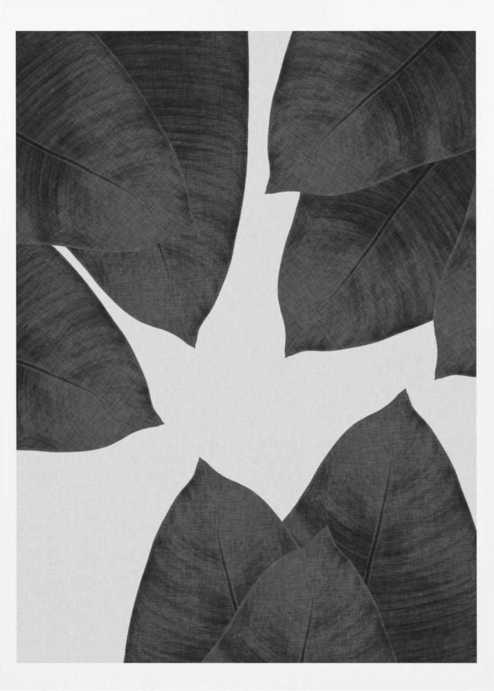 Banana Leaf Black & White I | Poster