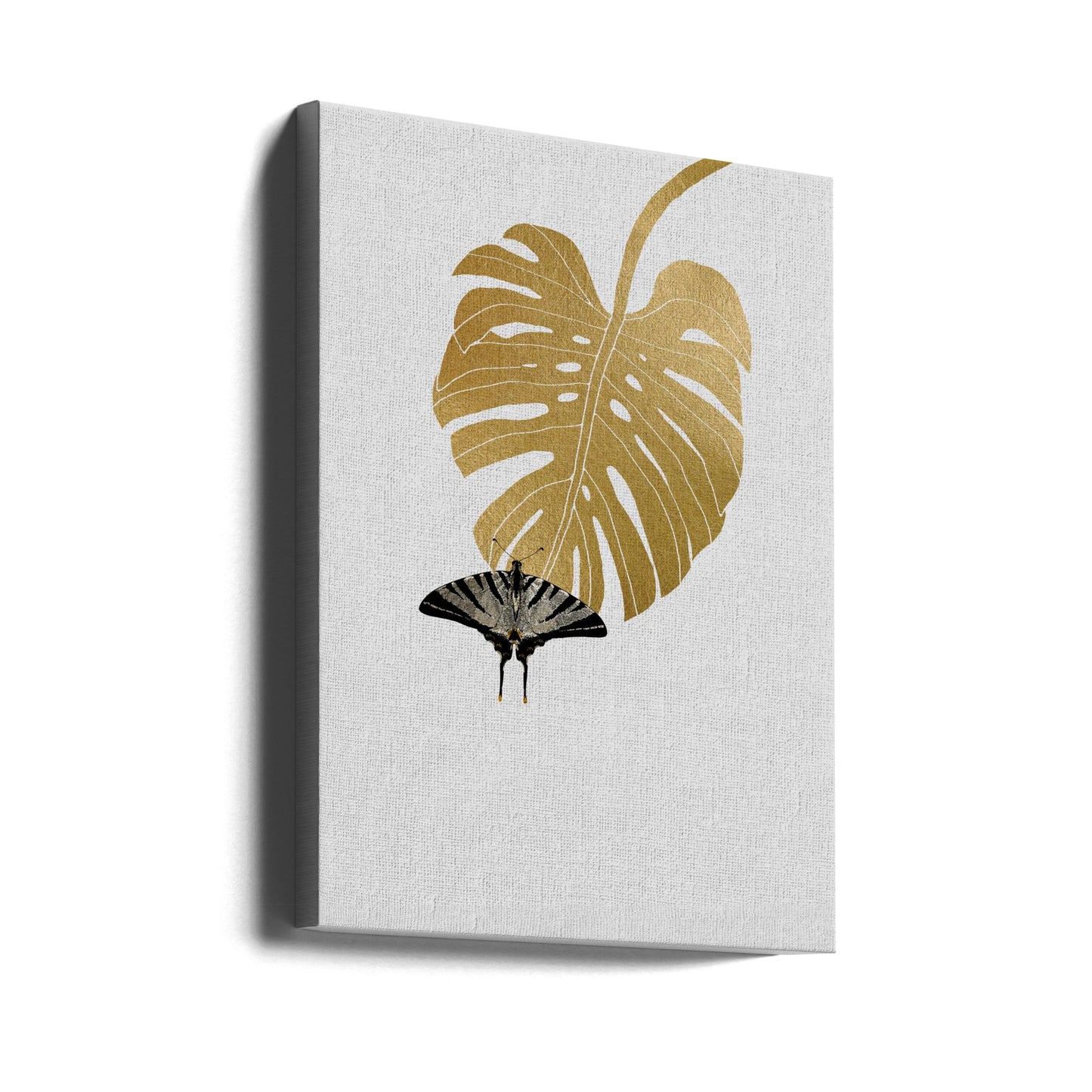 Mariposa y hoja de monstera | Impresiones en Lienzo