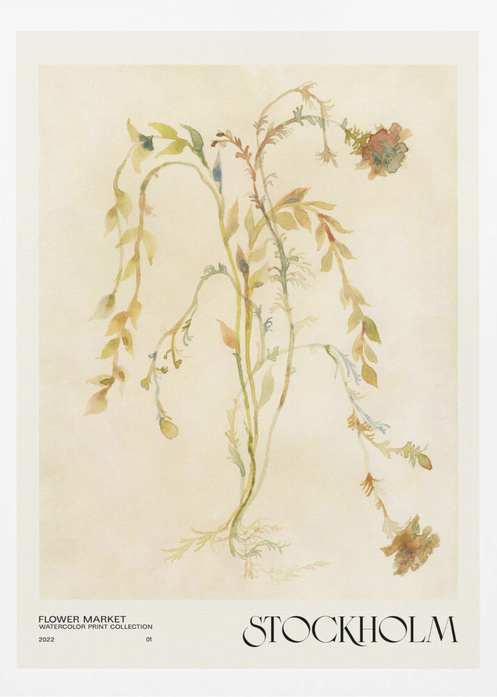 Watercolor print collection. Flower market - Stockholm | Poster
