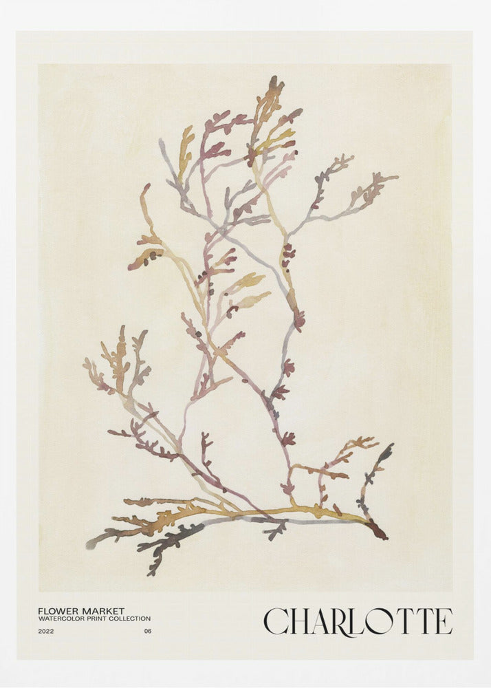 Watercolor print collection. Flower market - Charlotte | Poster