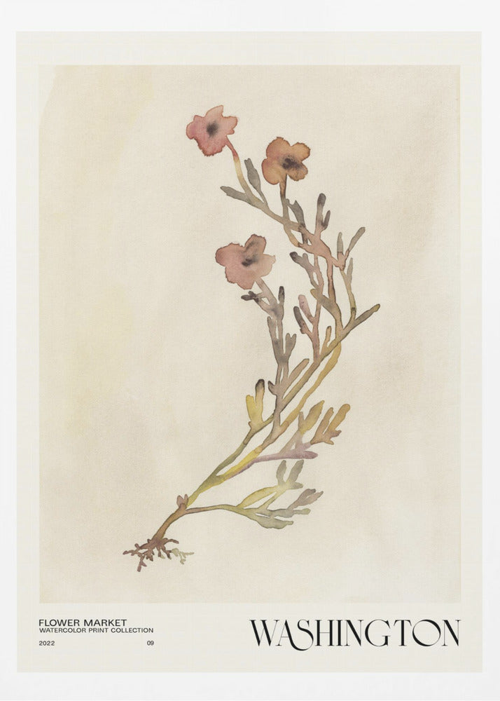 Watercolor print collection. Flower market - Washington | Poster