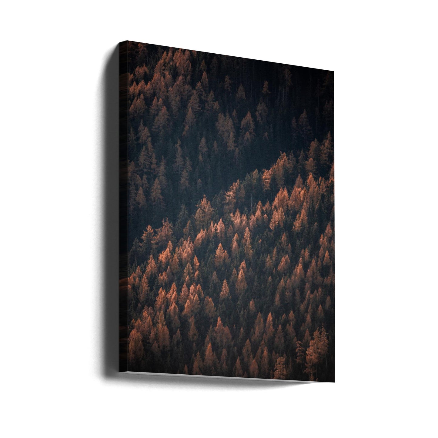 Bosque de otoño 2 | Impresiones en Lienzo