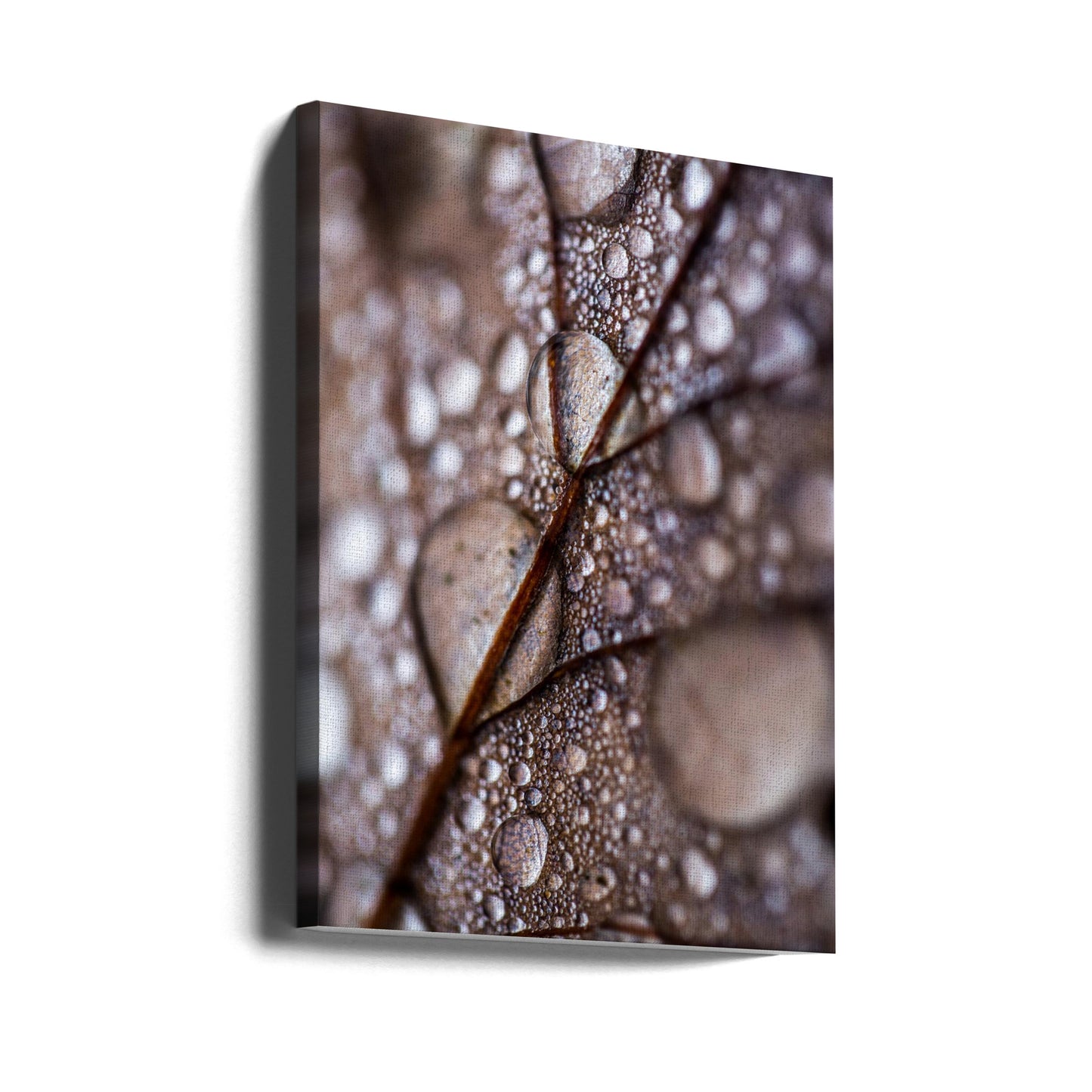 Höstregn | Canvas