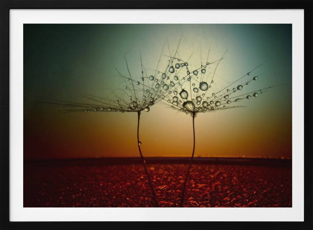 Feuer und Wasser | Poster - Kunstdruck