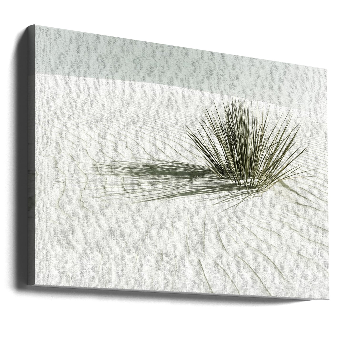 HVITE SAND Vintage Dune | Lerretsbilder