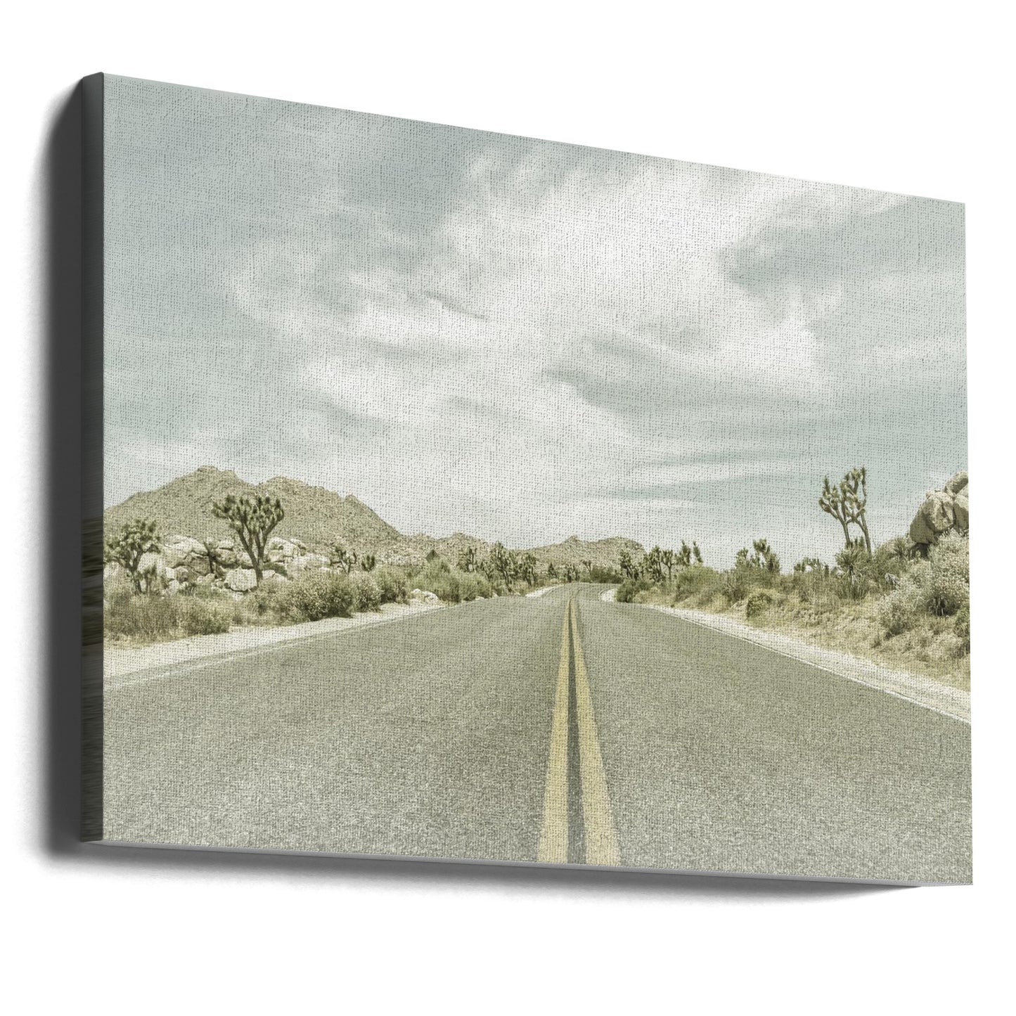 Vintage-Joshua-Bäume, Park Boulevard | Leinwand-Bilder