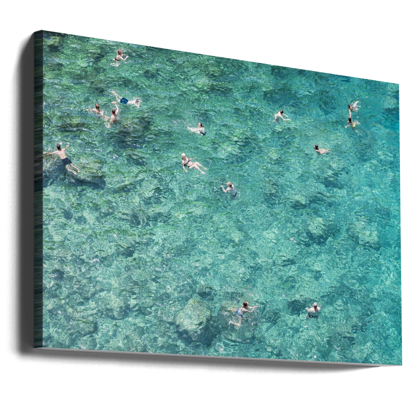 Swimming in the sea | Canvas