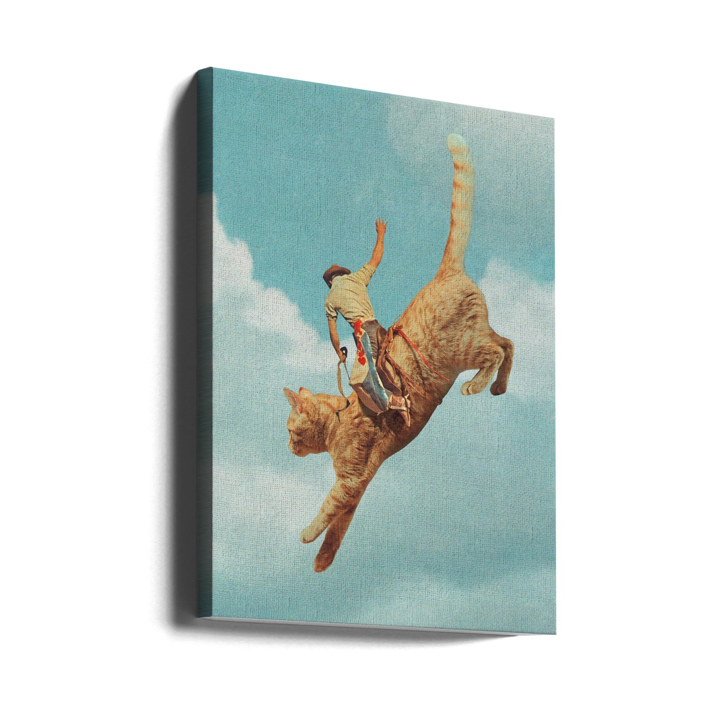 Meehaw Rodio-katt | Canvas