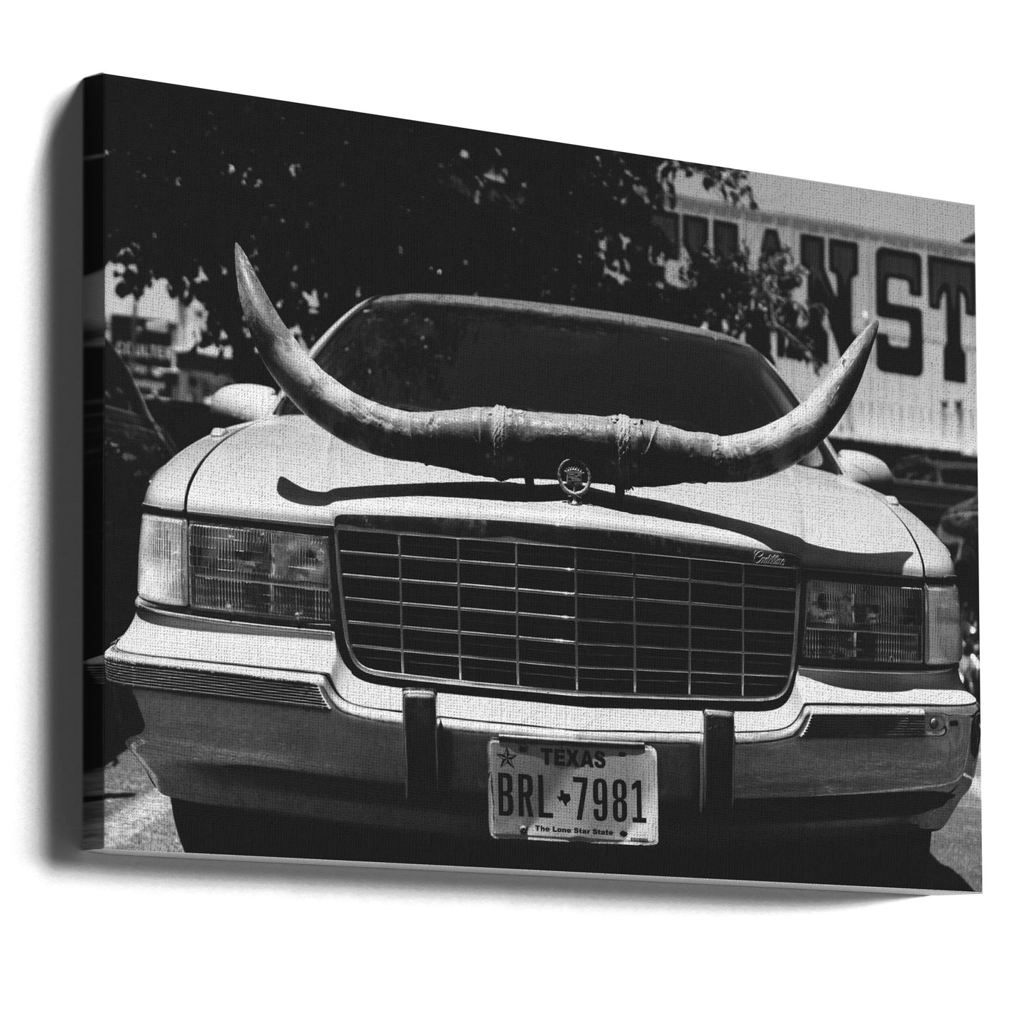 Texas-Fahrt | Leinwand-Bilder