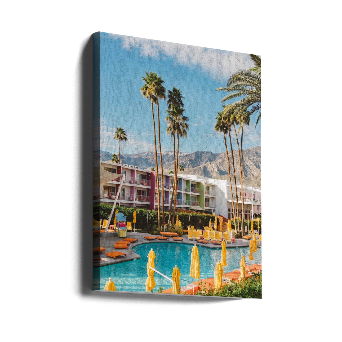Saguaro w Palm Springs | Wydruki na łótnie