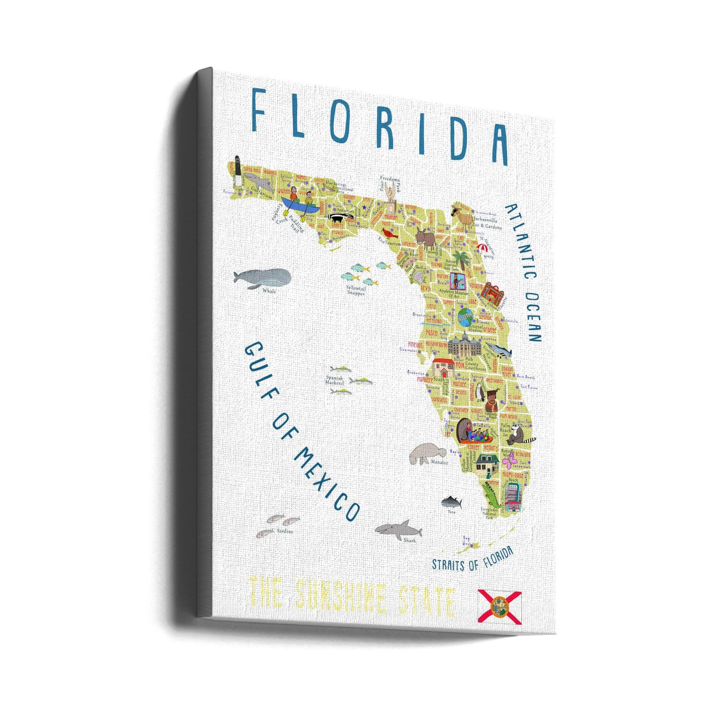 Carte illustrée de la Floride par l'artiste Carla Daly | Tableaux sur Toile
