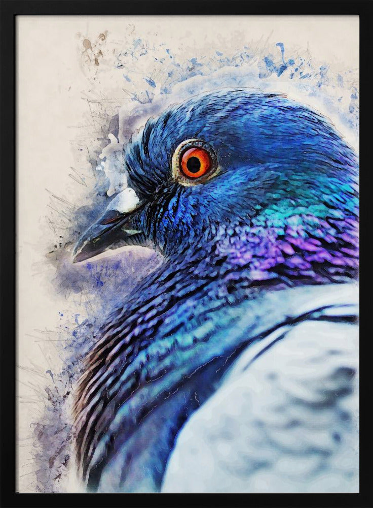 Tiere Vogel Taube Aquarell Tierkunst | Poster