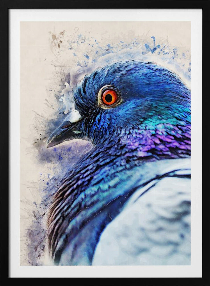 Tiere Vogel Taube Aquarell Tierkunst | Poster