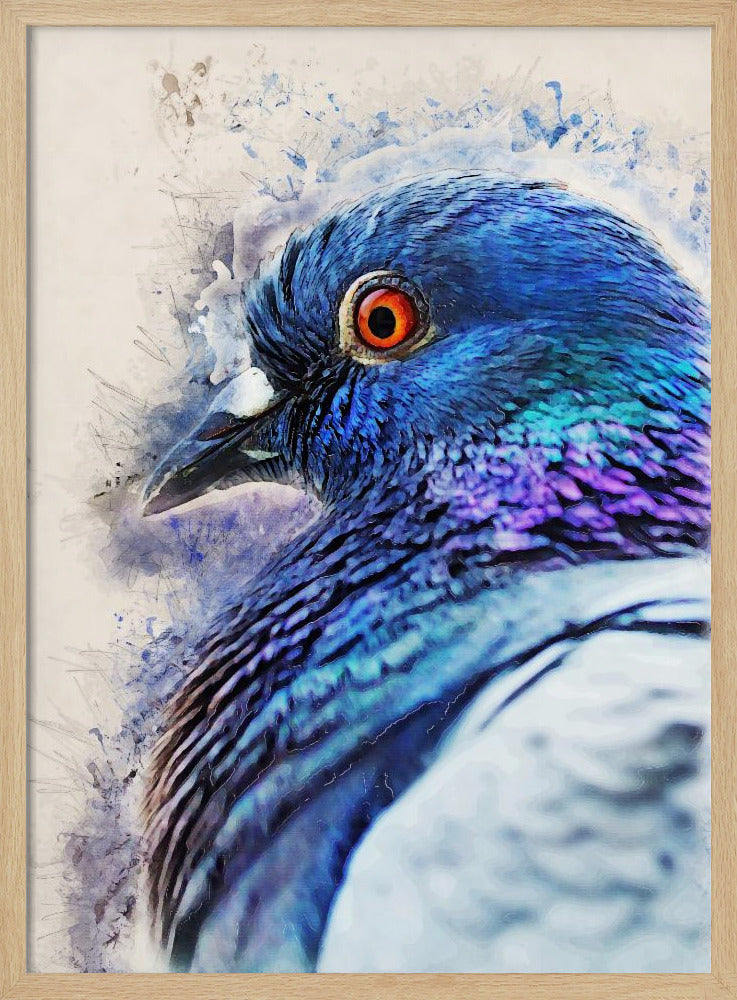 Tiere Vogel Taube Aquarell Tierkunst | Poster
