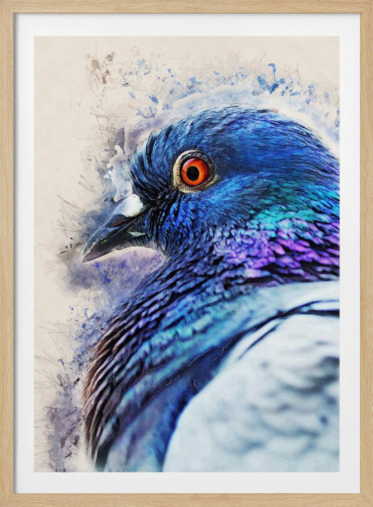 Tiere Vogel Taube Aquarell Tierkunst | Poster