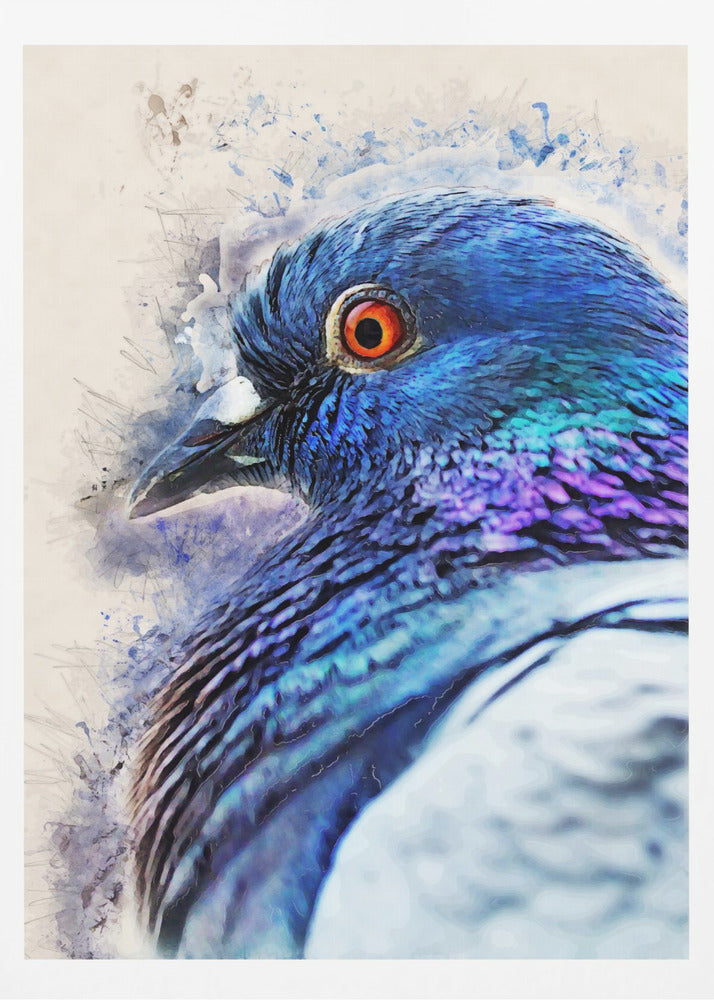 Tiere Vogel Taube Aquarell Tierkunst | Poster