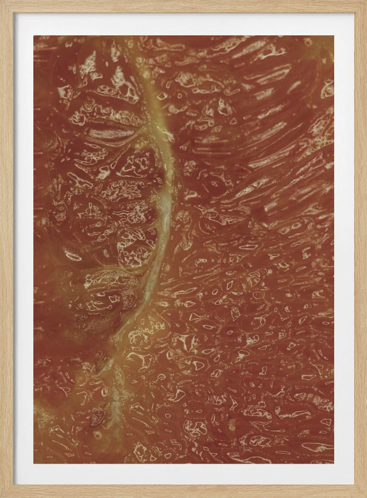 Citrusmosaik | Poster