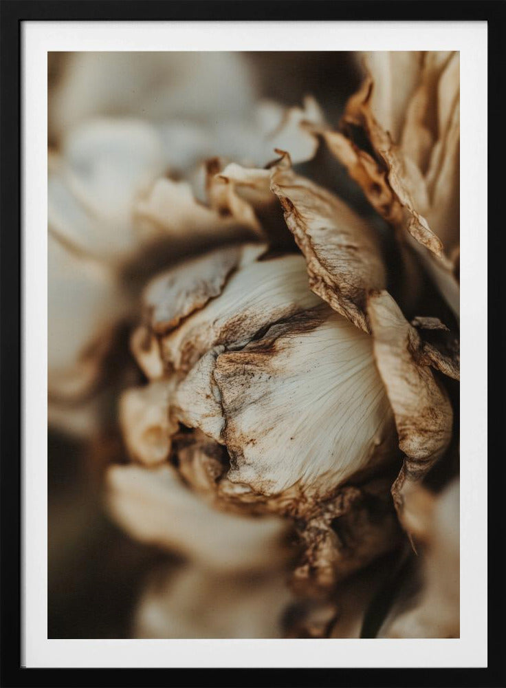Viskande kronblad | Poster