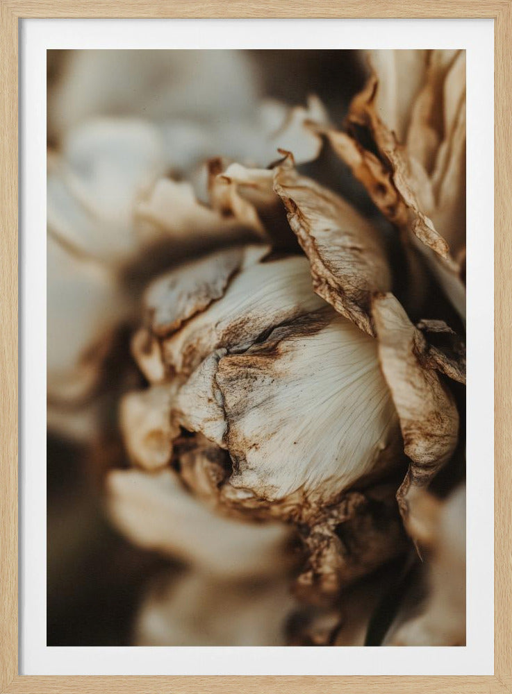 Viskande kronblad | Poster