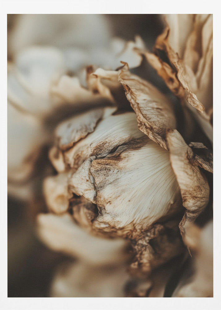 Viskande kronblad | Poster