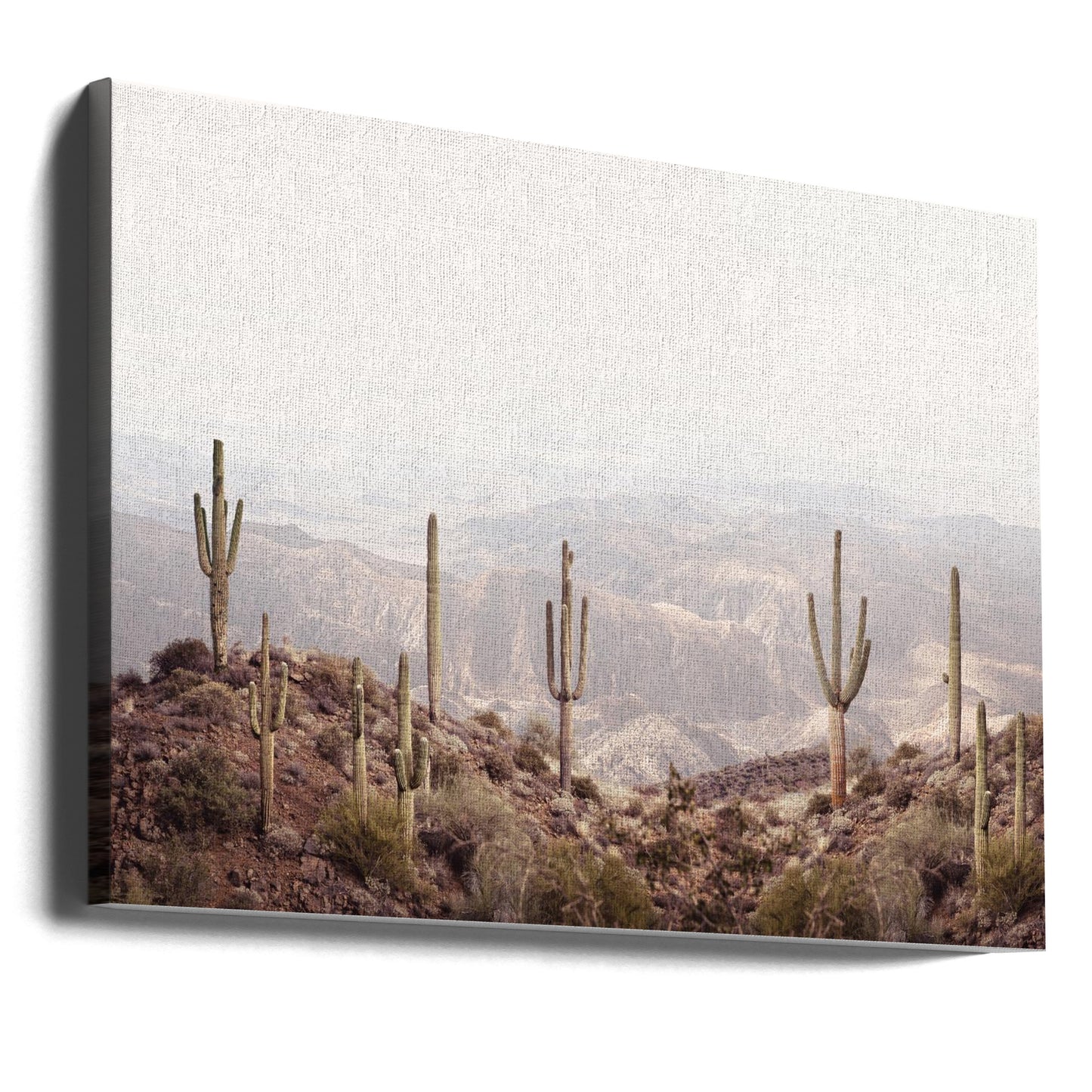 Valle dell'Arizona | Stampe su Tela