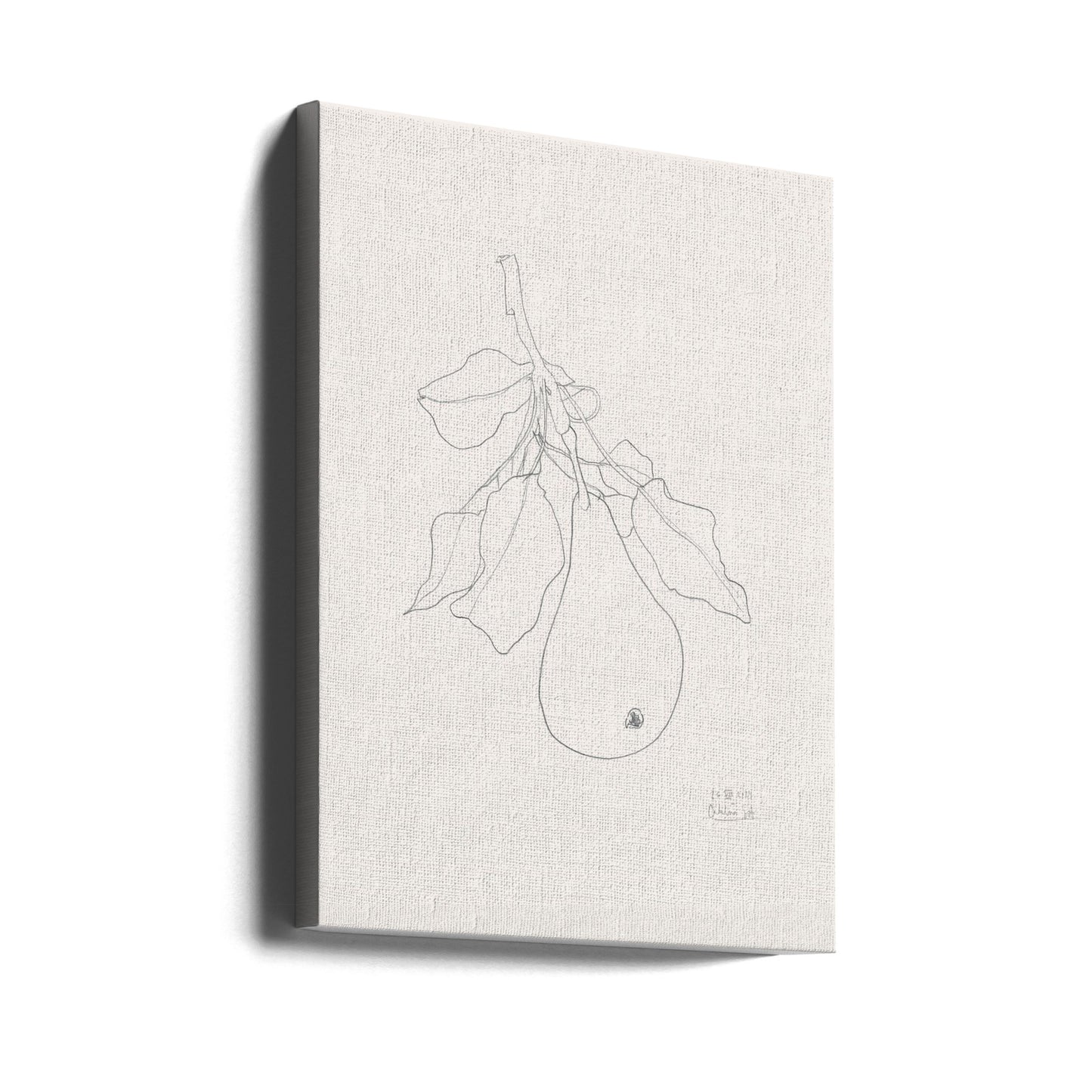 Elegant Pear Sketch | Canvas