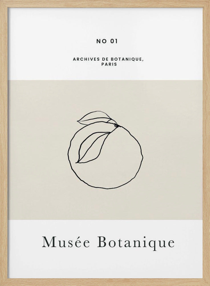 Abstractbotanicsno13 | Poster