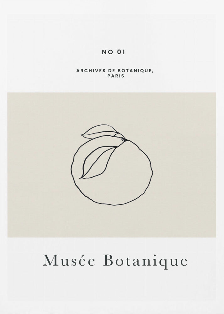 Abstractbotanicsno13 | Poster