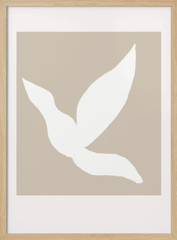 Scandilineno19 | Poster