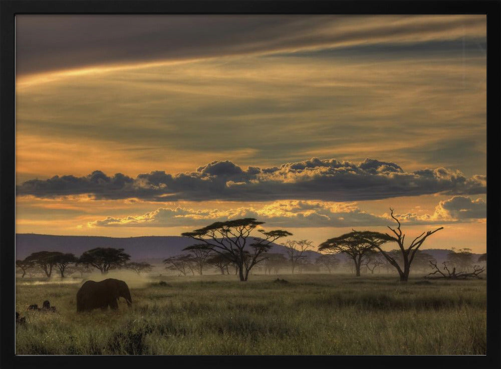 Afrika | Poster