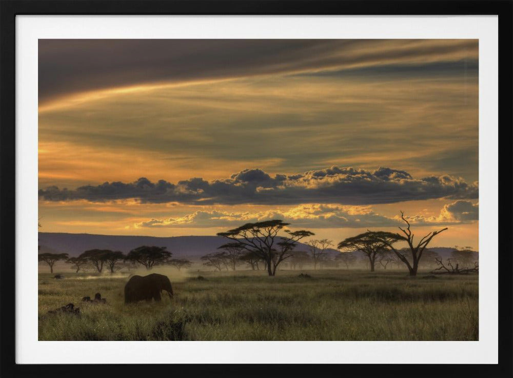 Afrika | Poster